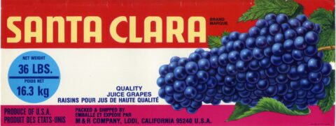 Santa Clara